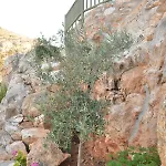 Estalagem Delfinaki Boutique ,naxos Lionas